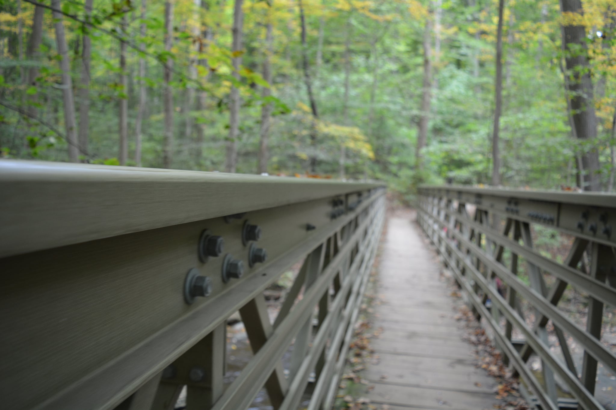Footbridge in woods